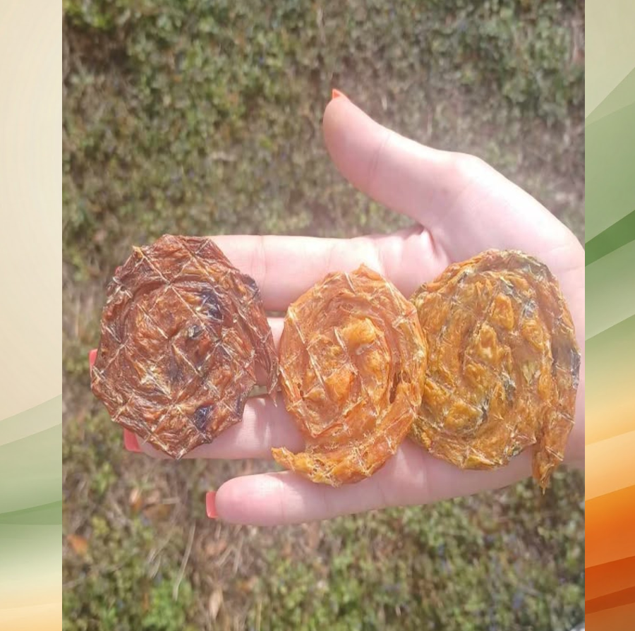 Variety Pack 3 Flavor Chicken Swirly Bites