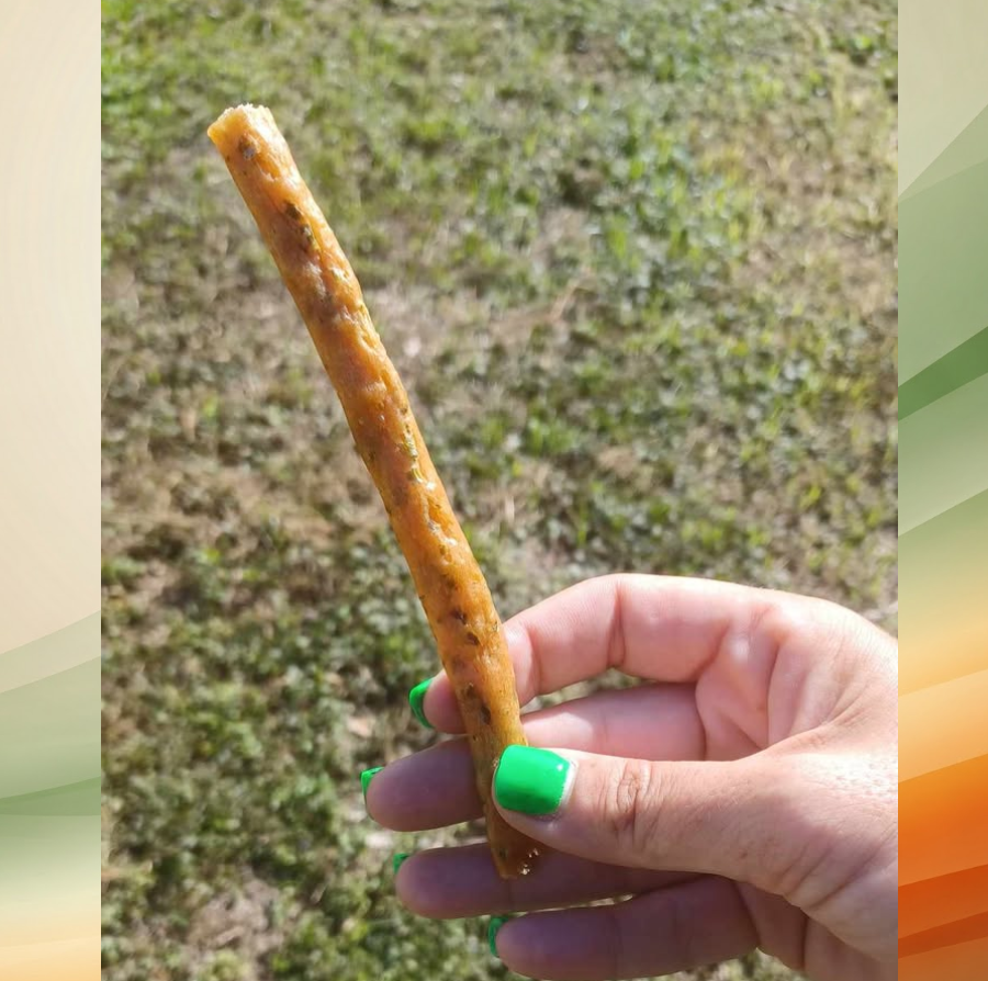 Chicken and Green Bean Vital Sticks 8-oz