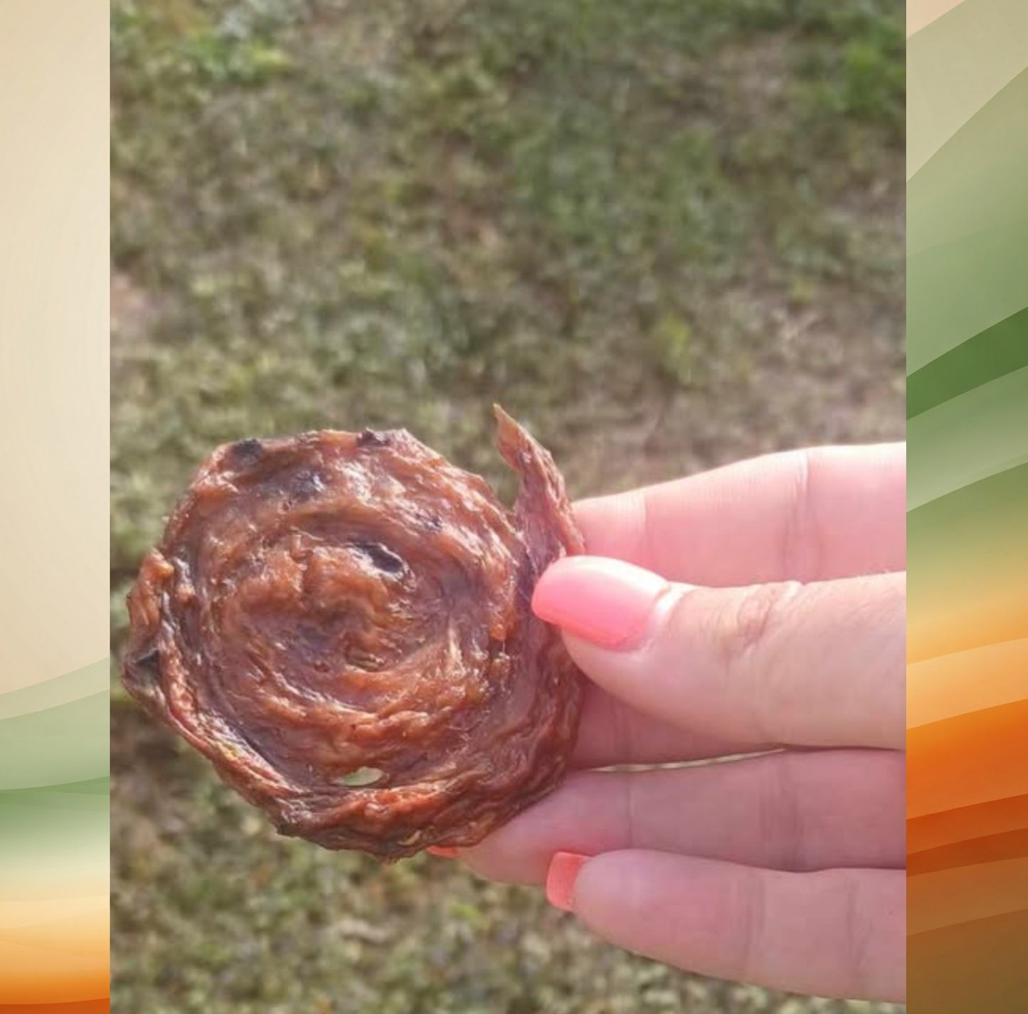 Variety Pack 3 Flavor Chicken Swirly Bites