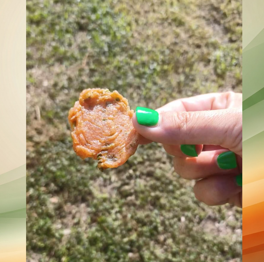 Chicken and Green Bean Doggie Chips 5oz