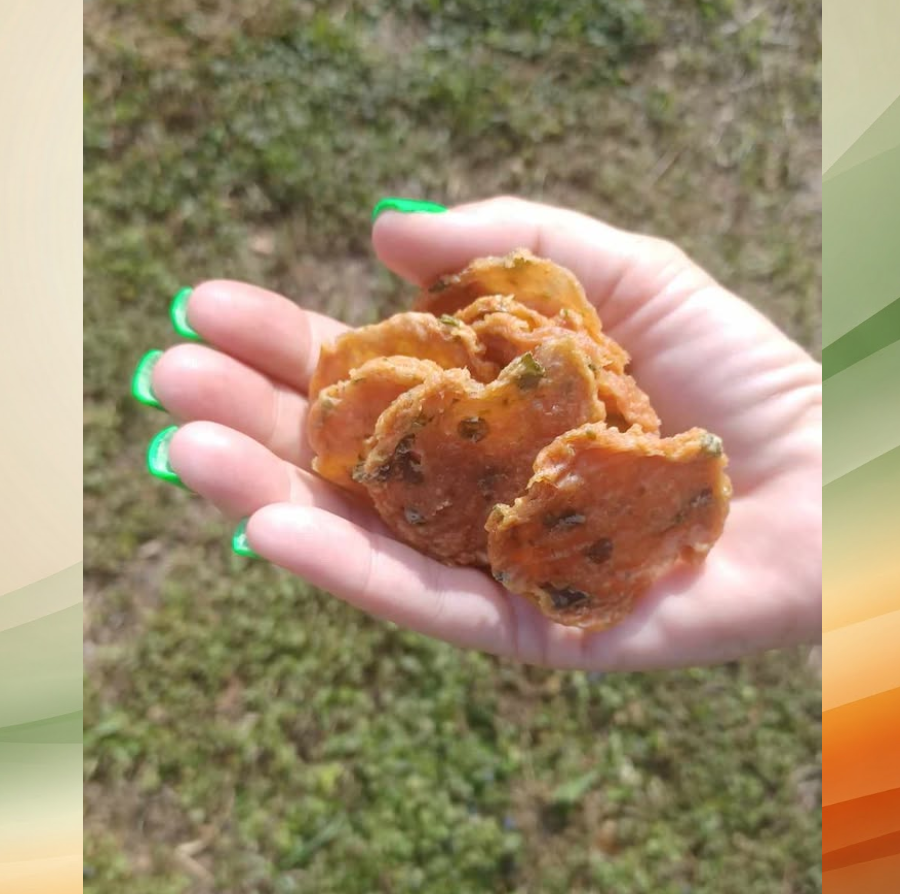 Chicken and Green Bean Doggie Chips 5oz
