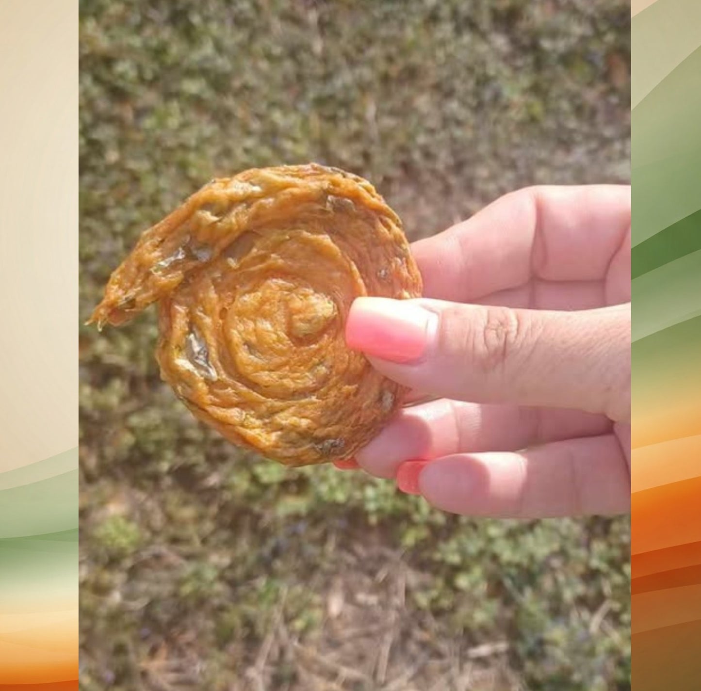 Variety Pack 3 Flavor Chicken Swirly Bites