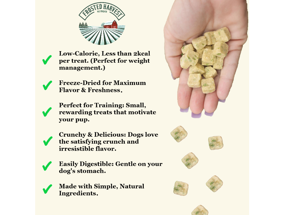 Chicken Breast & Green Bean Freeze-Dried Training Treats 3-oz