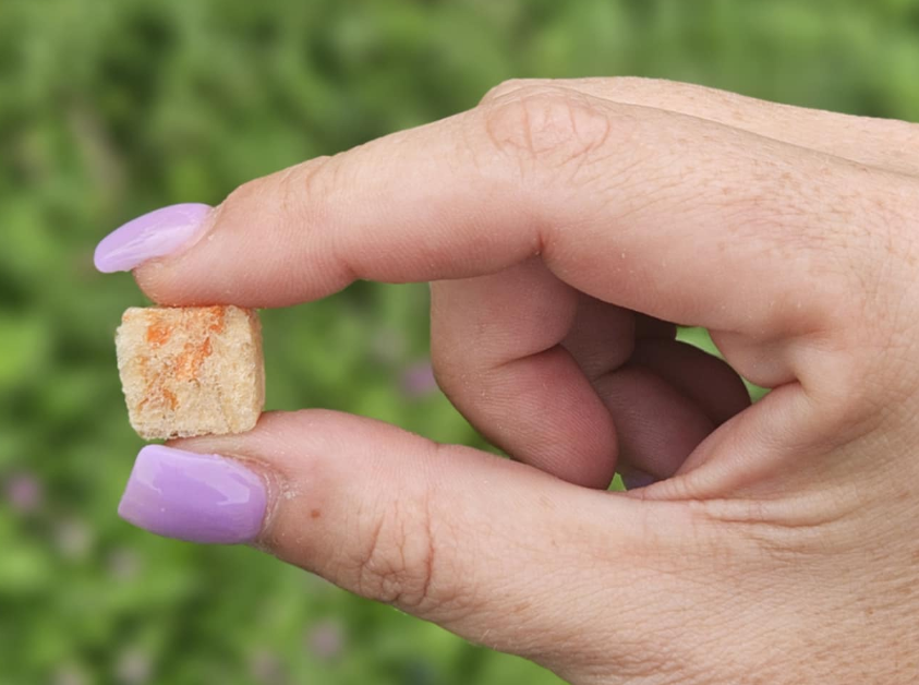 Chicken Breast & Carrot Freeze-Dried Training Treats 3-oz